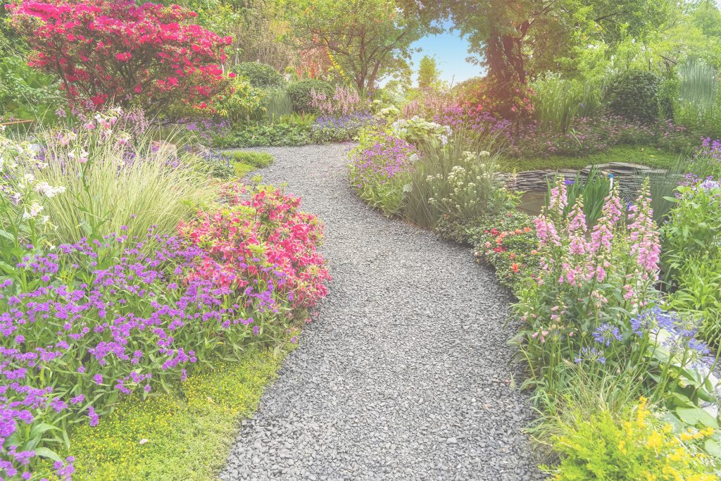 Garden image